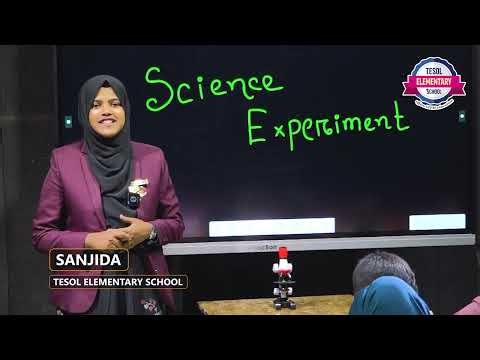 How to Test a Leaf Under Microscope 🔬 | Science Process