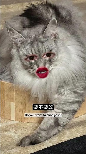 How Kuaishou Changed China Forever