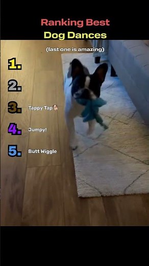 Ranking Best Dog Dances 🕺🐶 #dogs #animalranking #funny #dance