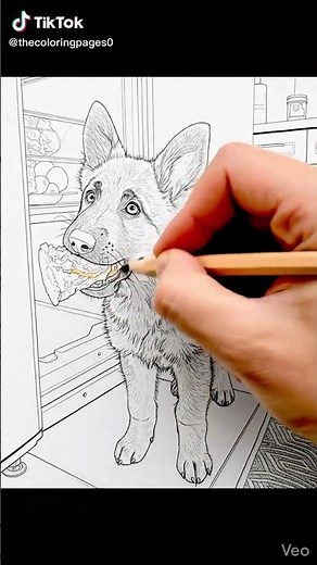 Coloring Cute Dogs, Relaxing Dog Coloring Pages! !