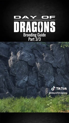 Complete Brooding Guide for Day of Dragons