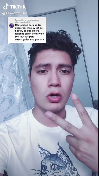 Cómo Descargar Playlist de Spotify a USB