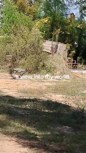 a view from my ears#happyathome #fypシ #fyp #foryou