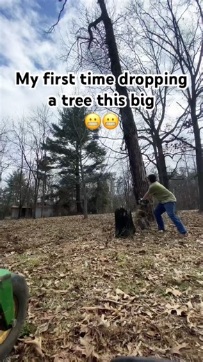 I feared it would go wrong 🫣#treeremoval #cuttingtrees #treefelling