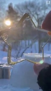 4M views · 140K reactions | NATURAL BEAUTY: A man used bubbles and a cookie cutter to create ice crystals amid cold temperatures in Minnesota. https://abcn.ws/3r02VfT | ABC News | Facebook