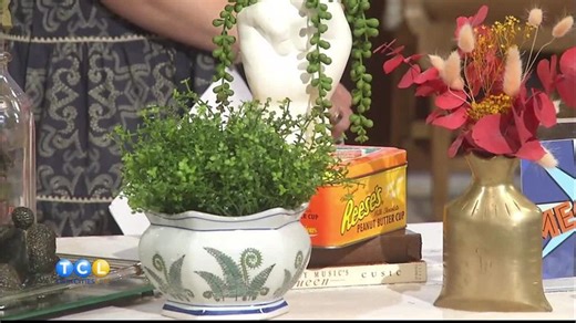 Budget Friendly Ideas to Revamp Your Home