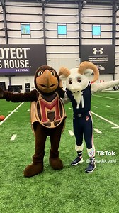 Meet AJ Sherwood: The Former Testudo Mascot Headed to Medical School