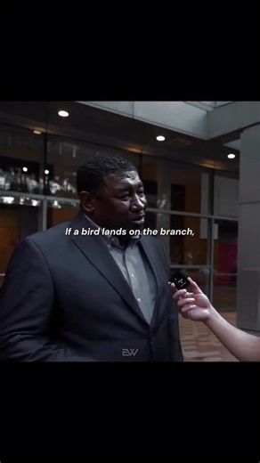 Luxury | Money | Motivation on Instagram: "Trust Your Wings. The lesson reminds us that real security comes from within, not from external situations. A bird doesn’t depend on the branch to hold it; it trusts its wings to lift off whenever needed. In life, we often put our faith in jobs, relationships, or circumstances, but these things can change without warning. When you strengthen your mindset, confidence, and skills, you create the ability to rise above setbacks instead of being controlled b
