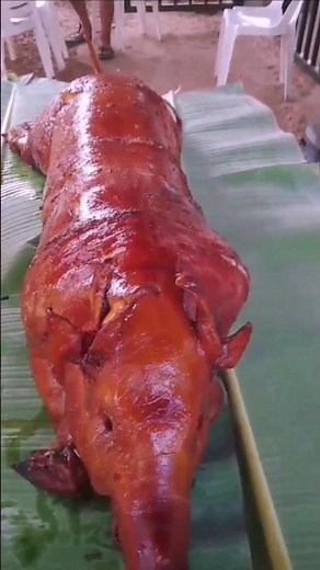 How to make Reddish and Crispy Lechon #cooking #food