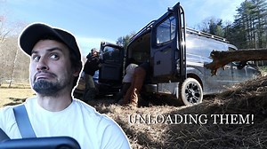 Unloading The Animals We are bringing home new animals that we've never had before. I just hope this goes well... 😬 | The Murrays
