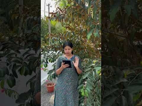 Plus Two Computer Application ഈ video കാണാതെ പോകല്ലേ 💯💯#plustwocomputerapplication