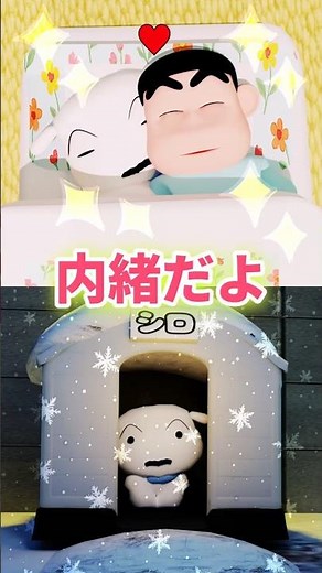 寒がるシロを見たしんのすけの行動が尊すぎる…【感動】