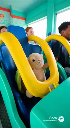 Welcome to Timmy Land 🎢🐢 #fyp #timmytheturtle | turtle