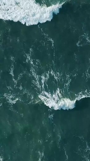 AP Fragrance Lux (@apfragrancelux.com)’s videos with Bounce When She Walk - Ohboyprince