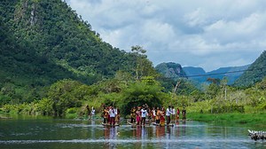 Forests For Us | World Bank