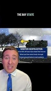 Nor’easter: Why more leaves on the trees means bad news for those hoping to keep the lights on