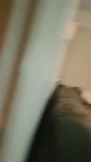 Ya’ll I got company. Guess who? He swear he live here. Look how he stood in the door holding so I couldn’t come in. Was bout to talk trash until he saw I had him food and a juice. Feel like I have a teenage son. Locking the door. Boy if you don’t 🤬 “OTMFDBIBYA” 😭😂what I said ??? | Step White