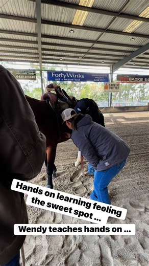 🪬Veterinarians and saddle fitters use terms like the "natural cinch groove," "girth groove," or simply "the groove" to describe this area, which varies in position and size depending on the horse's individual conformation. 🇦🇺 girth groove Anatomical Location: The girth groove is the natural, slightly hollowed area on the horse's side, located just behind the elbow. 🇦🇺 How to Find It: You can find the girth groove by locating the horse's elbow and then feeling for the slightly indented area 