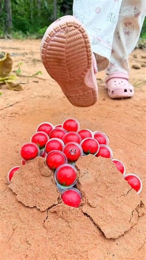 The guy shows SURVIVAL skills #survival #bushcraft #outdoors #lifehack #camping