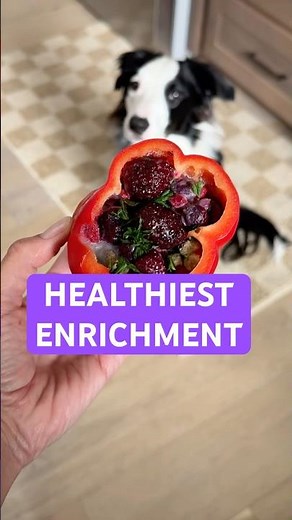 DIY dog enrichment