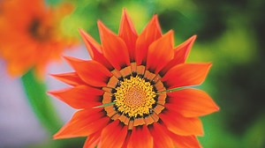The Beauty of Uncontested Rest