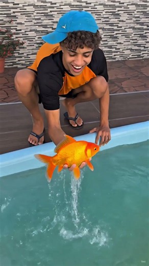 pegando peixe com a mão