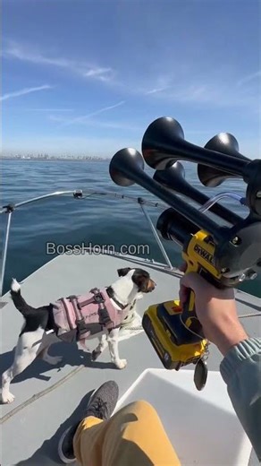 Milwaukee Train Horn That Goes VIRAL Every Time