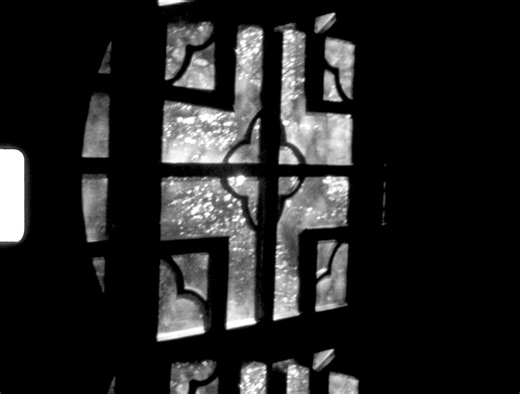 Men of the Reef: Exploring Buffalo's Marine Wonders