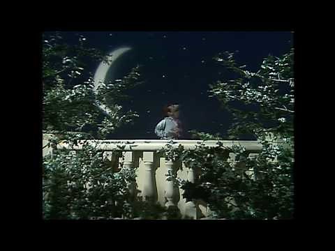 Muppet Songs: Wayne - Catch a Falling Star