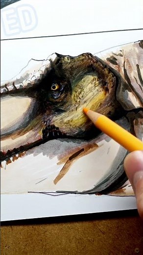 T-Rex #drawing #dinosaurdrawing #art #dinodrawing #jurassicworld