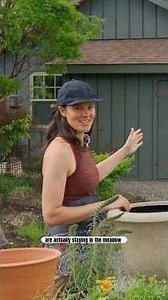 Refreshing COTTAGE PLANTERS with PERENNIALS at the Meadow House #containergardening #garden