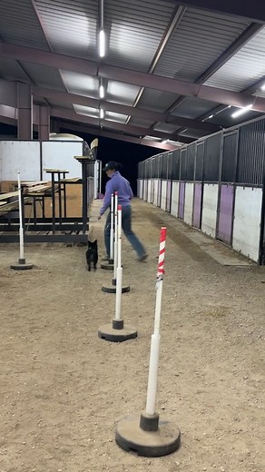 When you have to demo lead changes in a pole run - and then have the kids practice on foot too! (That video coming soon) | Hannah Kaufman Performance Horses