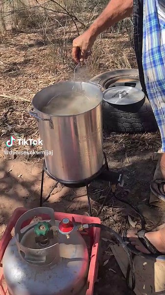 Delicious Yabbies Recipes and Yabbing Tips