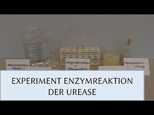 THE UREASE ENZYME REACTION