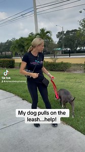 10K views · 132 reactions | #doggo #dogtraining #dogtrainingtips #fyp | Dynamite Dog Training | Facebook