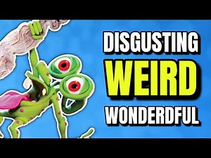 “Bump in the Night” was Wonderfully Weird