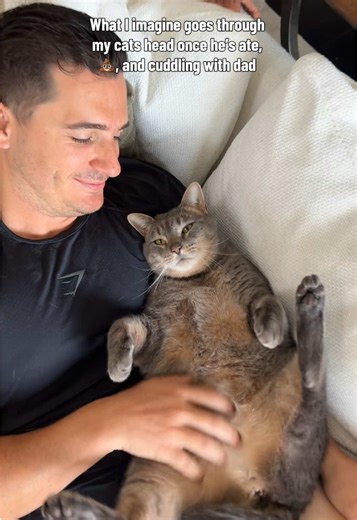 Understanding Your Cat's Flow State