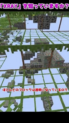 【マイクラ】悪用厳禁！ダイヤを簡単に発見できる「XRAY」を知っていますか！？【ゆっくり実況】【豆知識 解説】【マインクラフト】#Shorts