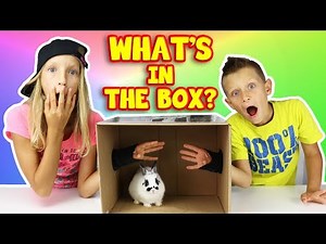 What's in the Box Challenge!!!!!