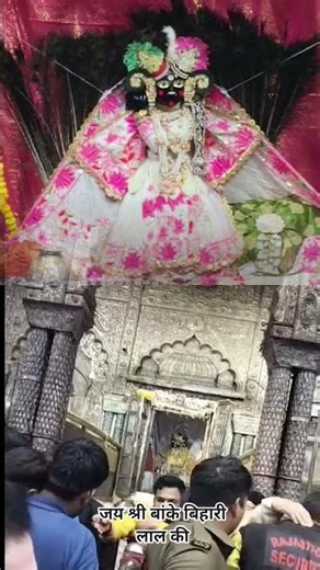 कुंज बिहारी श्री हरिदास मेरे चैनल को सब्सक्राइब करें