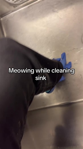 Meow | meowing