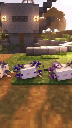 Genetic Animals: Axolotl Gills