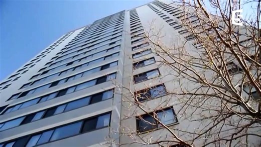 Ce chat survit à une chute de 50m - ZAPPING SAUVAGE