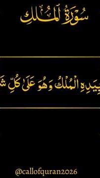 Listen to Surah Mulk Before Sleep | Powerful Quran Recitation #Shorts