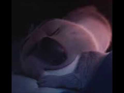 Buster Moon Sleeping