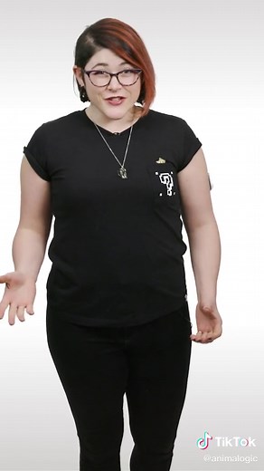 Secretary Bird Stomps: Deadly Hunters of the Snake World