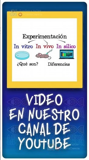 Experimentación in vitro, in vivo, in silico 🧫 #shorts #short #ciencia #biología #bio #experimento