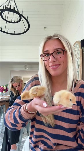 Surprising Mom with Chicks This Spring
