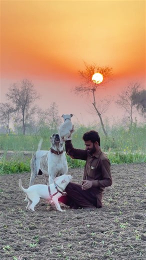 Talha Ghouri (@talhaghourivlog)’s videos with Yaari 777 Malkoo - Malkoo Studio