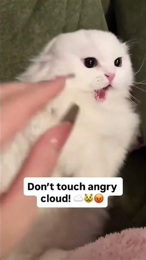 Angry cloud😺😂
